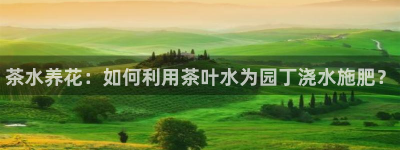 龙八国际正规吗