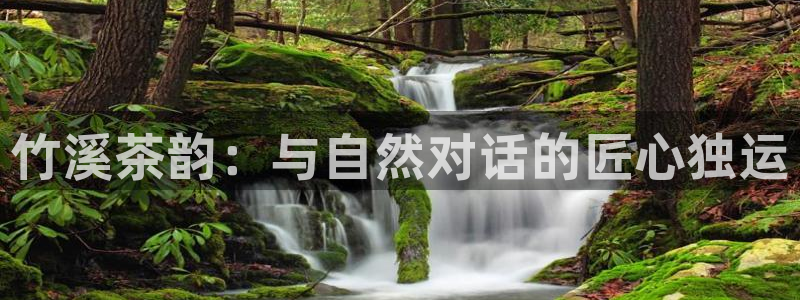 龙八国际pt