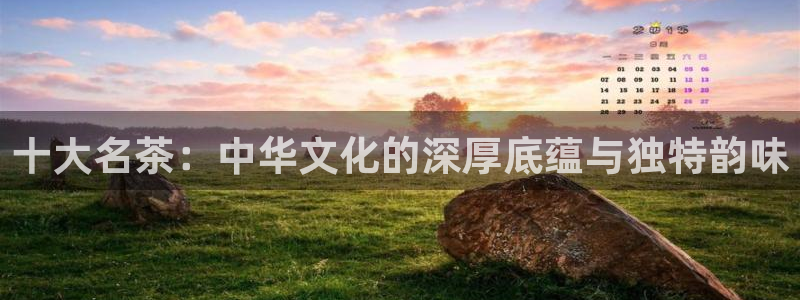 龙八国际官方网站手机版