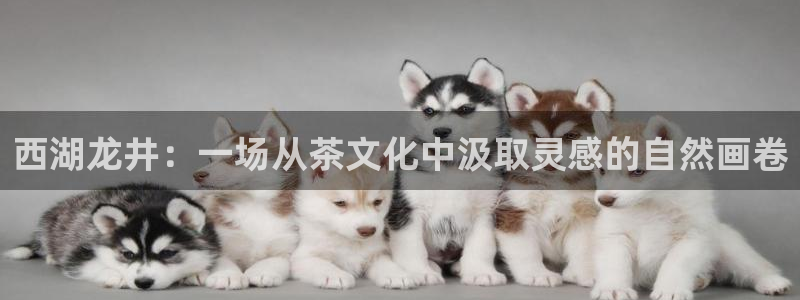 龙八国际网址f68点top