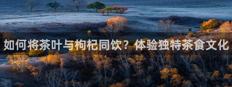 龙八国际电话