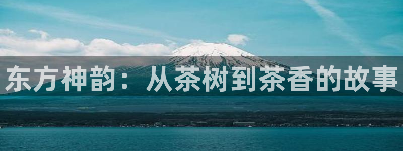 龙八国际娱乐正版