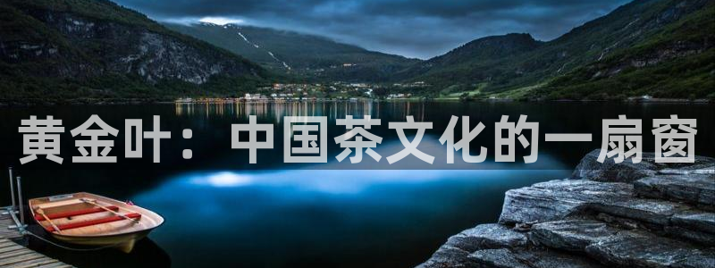 龙八国际新版
