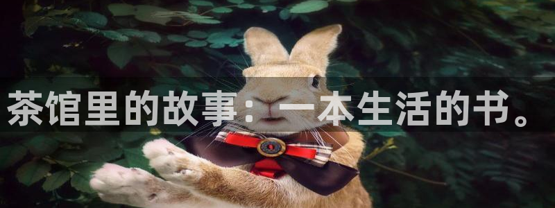 龙八国际下载地址