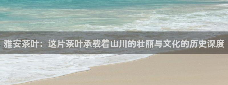 龙八国际登录注册