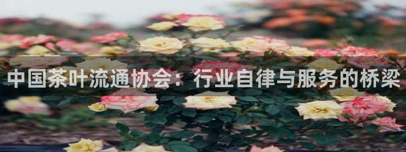 龙八国际服官网下载