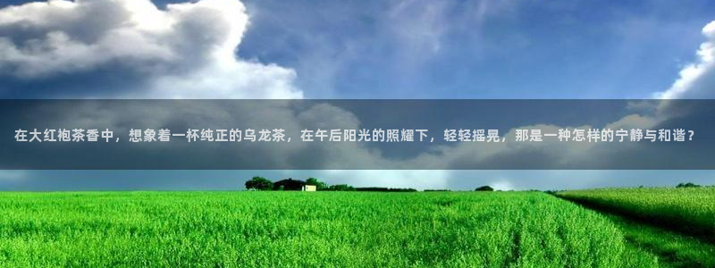 龙八国际官方网