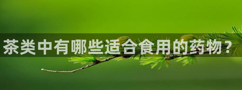 龙八国际官网网站