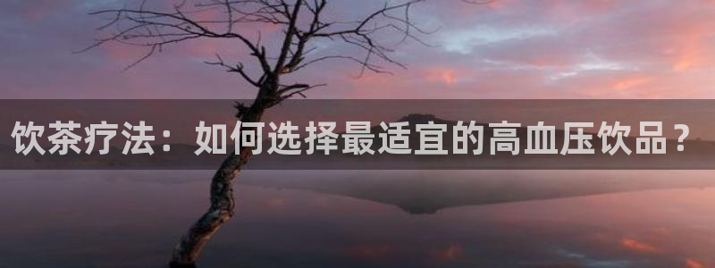 头号玩家龙八国际网址