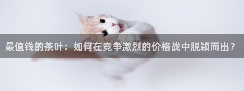 龙八国际玩什么游戏能赢