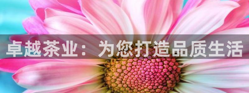 龙八国际app手机版下载安卓