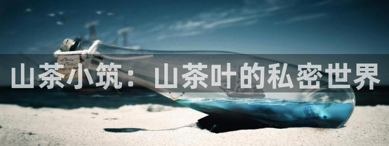 龙八国际娱乐app下载