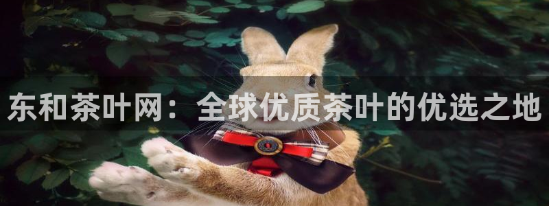 龙八国际娱乐手机版