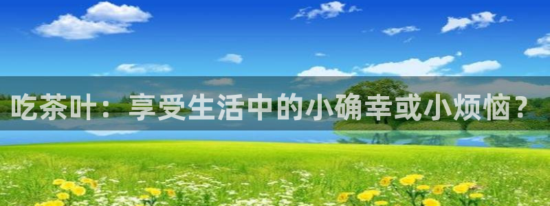 龙八国际娱乐场