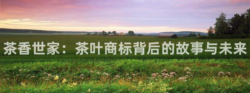 菲律宾的龙八国际输钱