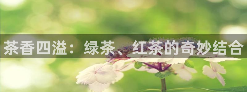 龙八国际登官网