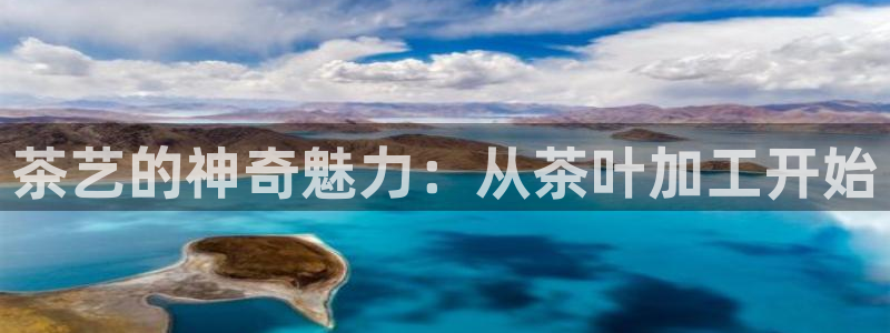龙八国际娱乐正版