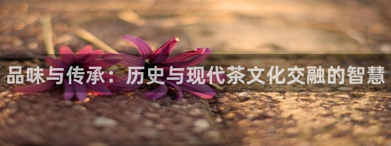 龙八国际app下载