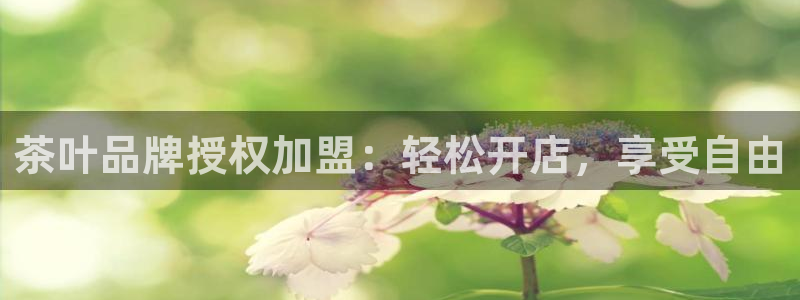 龙八国际官网首页