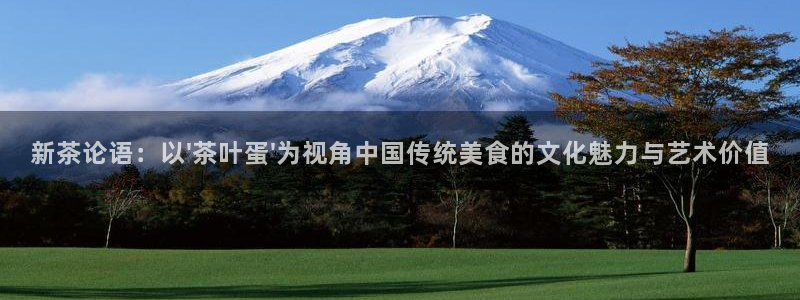 龙八国际网站多少
