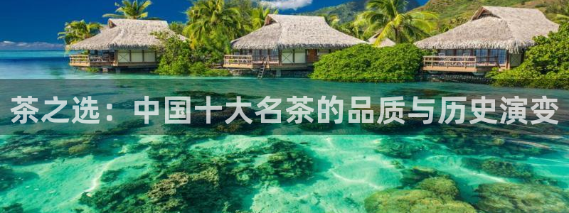 龙八国际pT娱乐官网