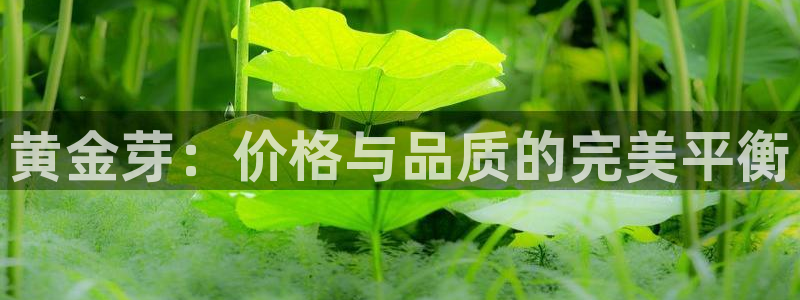 龙八国际下载链接手机端