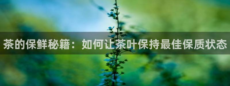 龙八国际娱乐网页多少