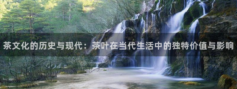 龙八国际平台可靠吗