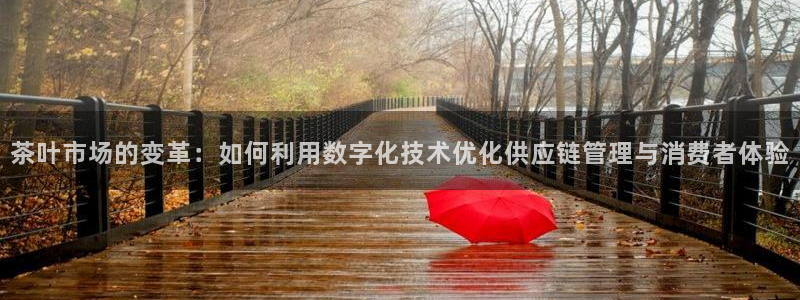国际龙八国集团