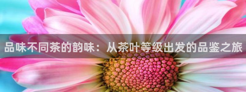 龙八国际相仿平台
