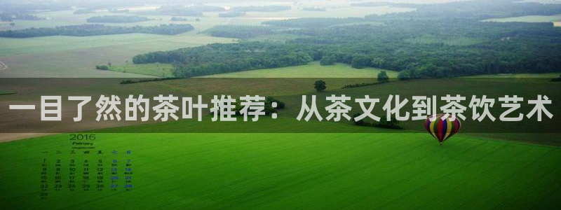 龙八国际APP官方版
