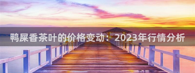 龙八国际娱