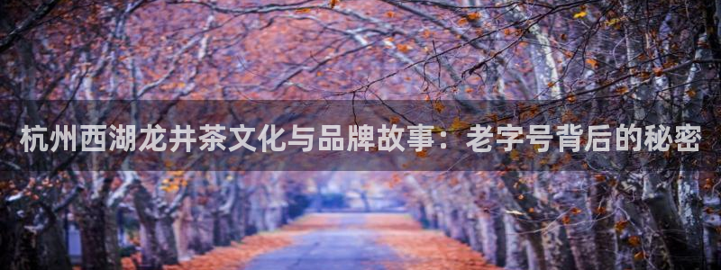 龙八国际唯一官网