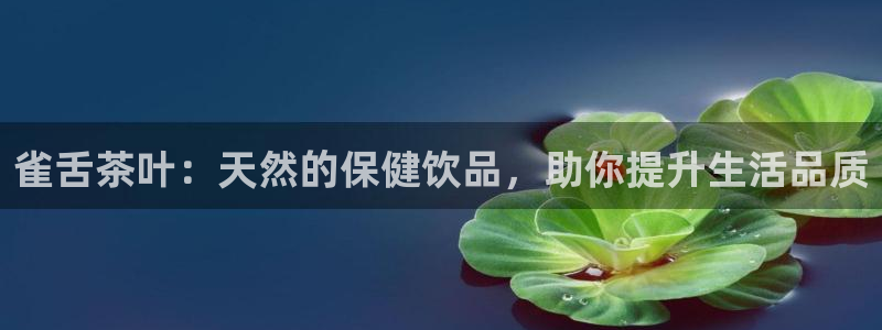 龙八国际手机登录首页