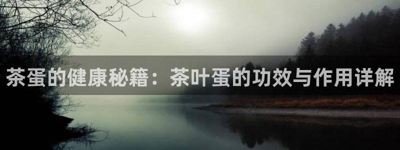 龙八国际地址
