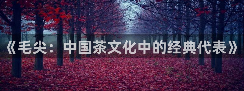 龙八国际手机版官网平台