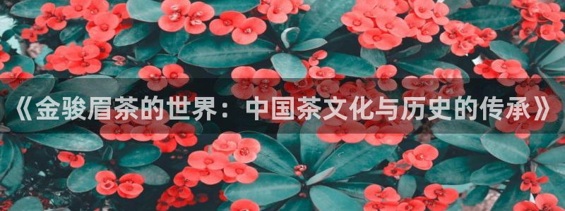 手机版龙八国际官网