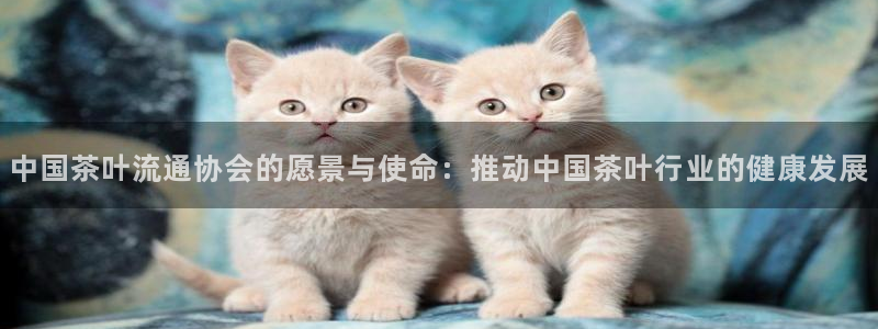 龙八国际国际娱乐官网