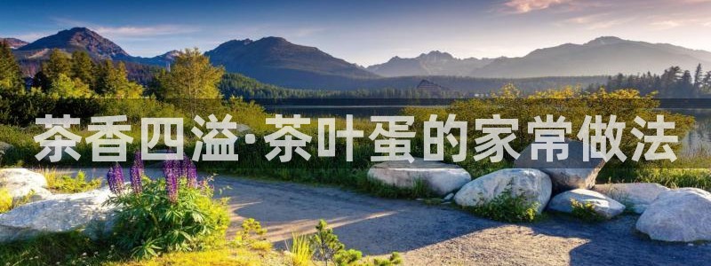 龙八国际客户端下载