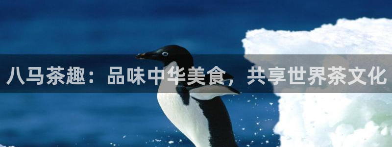 龙八国际pt娱乐