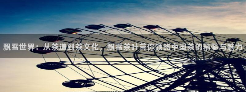 龙八国际怎么样