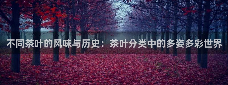 龙八国际是不是黑平台