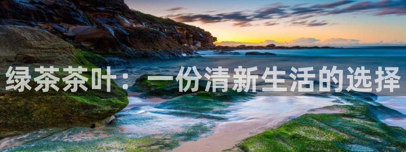 龙八国际网站多少