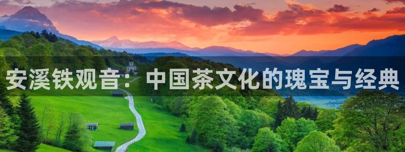 龙八国际手机端