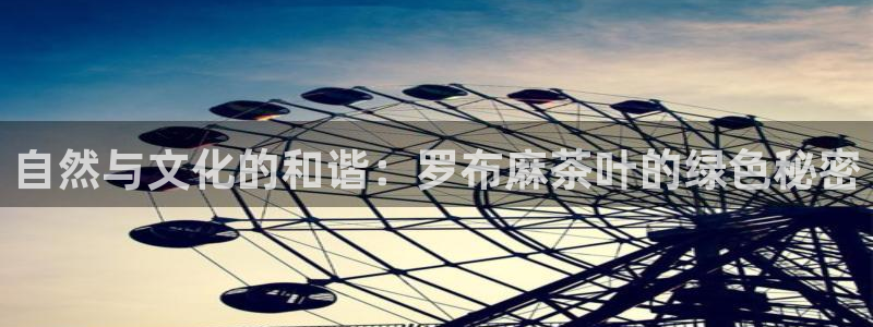 龙八国际优惠券
