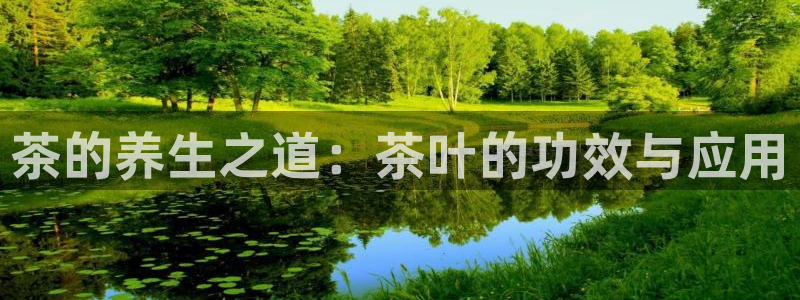 龙八国际服官网入口地址