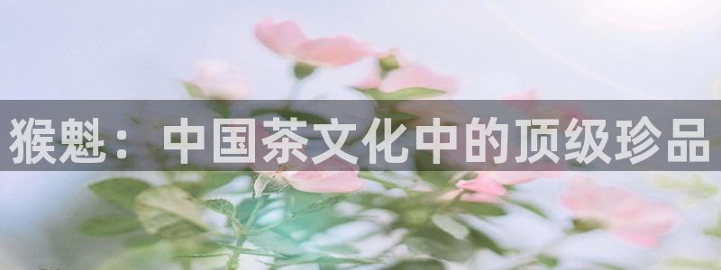 龙八国际服官方