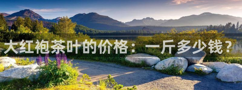 龙八国际游戏视频