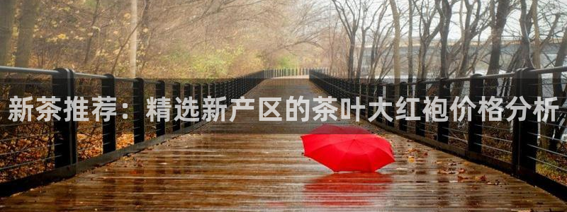 龙八国际long