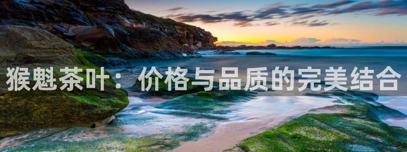 龙八国际l8520